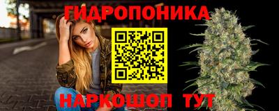 дживик Пенза