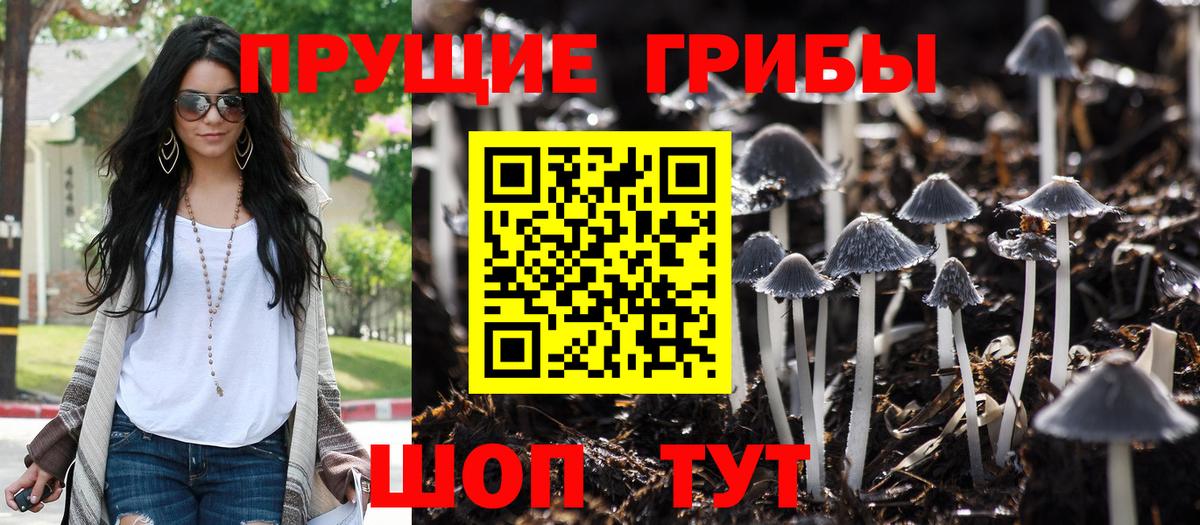 LSD-25 Пугачёв
