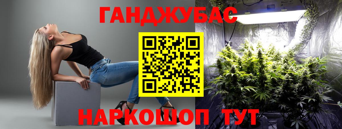 Бошки марихуана гибрид Пугачёв